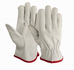 Driving Gloves (Unlined)